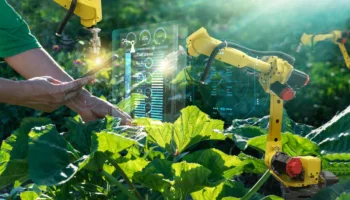 Coalitieakkoord subsidieadvies web