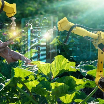 Coalitieakkoord subsidieadvies web