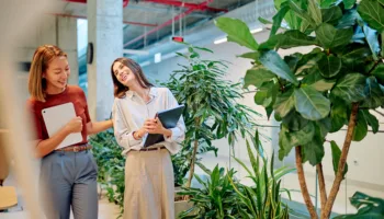 Ondernemers in de inkomstenbelasting