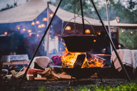 D55 A9411 FD3 A 4882 8893 782054245 DFB